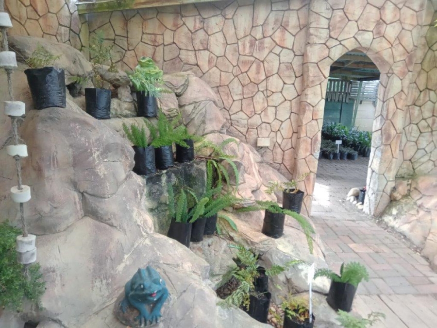 4 Bedroom Property for Sale in C Place Eastern Cape